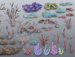 海底场景 珊瑚 海葵 骨头 遗骸