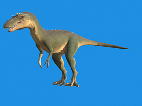 恐龙 千洲龙 侏罗纪恐龙 食肉恐龙 古生物 远古生物 灭绝的动物 迅猛龙 爬行动物 异特龙