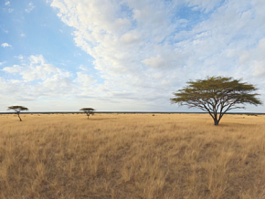非洲草原HDR 天空盒 全景图 大自然美景 风景  蓝天白云 热带草原  VR HDR