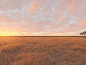 大自然美景 天空盒 全景图  风景 蓝天白云 热带草原 非洲草原 VR HDR 秋天 冬天