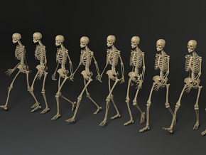 写实人体骨骼 骨骼 解剖 怪物 医学 3d模型