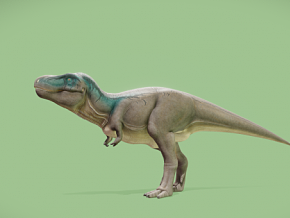 霸王龙 恐龙 暴龙 卡通恐龙 侏罗纪恐龙 侏罗纪 食肉恐龙 远古生物 卡通霸王龙