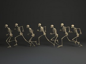 人体姿态 骨骼 跑步姿态 人体结构