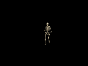 人体骨骼系统 医学人体模型 真实人体骨骼 人体骨骼跑步动画